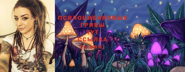 mix Новозыбков