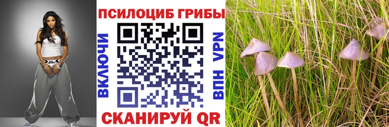 Галлюциногенные грибы MAGIC MUSHROOMS  Александров 