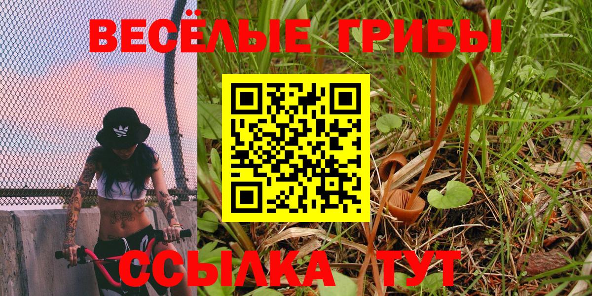 Галлюциногенные грибы прущие грибы Александров