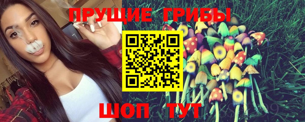 Галлюциногенные грибы Psilocybine cubensis Александров