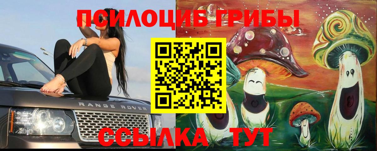 Псилоцибиновые грибы мицелий  Вход с VPN  Галлюциногенные грибы Cubensis  Александров 