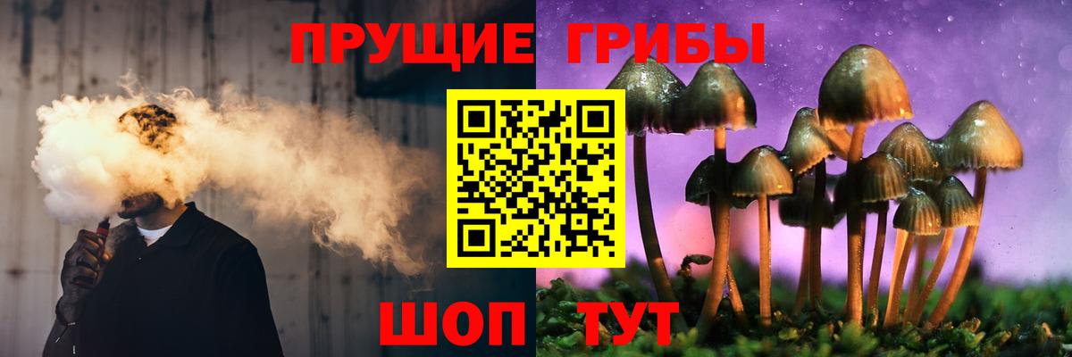 Псилоцибиновые грибы Magic Shrooms Александров