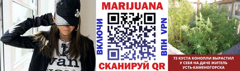 Бошки марихуана White Widow  MEGA рабочий сайт  Александров 